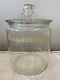 Antique Curtiss Candy Gallon Apothecary Glass Jar/store Display Chicago Nestle