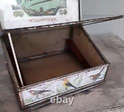 Antique Cigar Store Tin & Glass Counter Display Case with Norwood Cigar Ad