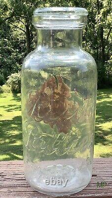 Antique Reeds Counter Candy Jar Embossed With Glass Lid Partial Label, Grandmas
