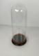 Antique Round Hand Blown Glass Dome Globe Steampunk Display 21.45 D 8.77