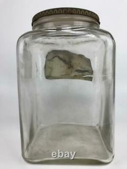 Antique SQUIRREL BRAND Peanuts Glass Store Display Jar Metal Lid Cambridge MA #3