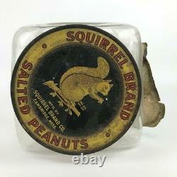 Antique SQUIRREL BRAND Peanuts Glass Store Display Jar Metal Lid Cambridge MA #3