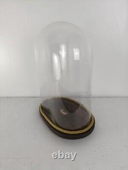 Antique Victorian Oval Hand Blown Glass Globe Dome Doll Clock 13.77H 10.43W5.3