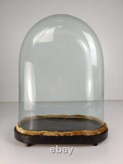 Antique Victorian Oval Hand Blown Glass Globe Dome Doll Clock 14.44 H 14.17' W