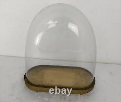 Antique Victorian Oval Hand Blown Glass Globe Dome Doll Clock 16.53 H 15.94W 7