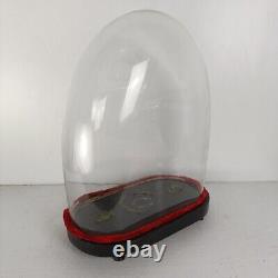 Antique Victorian Oval Hand Blown Glass Globe Dome Doll Clock 16014H 13.07W6.2