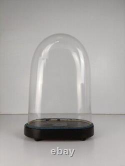 Antique Victorian Oval Hand Blown Glass Globe Dome Doll Clock 18.7 12.2