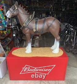 Budweiser clydesdale Kentucky Derby store display Bar Display