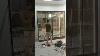 Champion Finishing Aristo Glass Showcase Modern Display Cabinet Installation