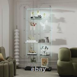 Display cabinet with LED light strips, door lock, and casters