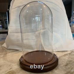 Glass Dome Display made in Taiwan for Bard's