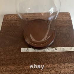 Glass Dome Display made in Taiwan for Bard's