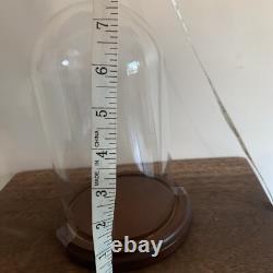 Glass Dome Display made in Taiwan for Bard's