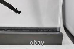 JORDAN Jumpman Nike Air Store Display Lucite 11 x 7.25 Sign Dunk Logo w Base