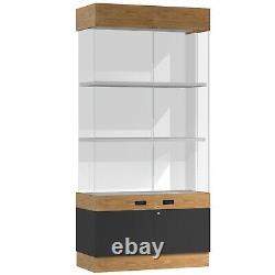 Jewelry Display Cabinet for Jewelry Store Glass Display Showcase