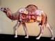 Kate Spade Huge Camel 2017 New York Store Display Sign Promotional Clear Lucite