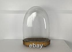 Large Antique Victorian Oval Hand Blown Glass Globe Dome Doll Clock 18.11 14.1