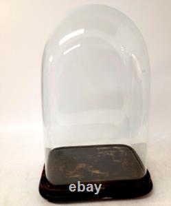 Large Antique Victorian Rectangular Square Hand Blown Glass Globe Dome 19.5