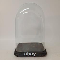 Large Antique Victorian Rectangular Square Hand Blown Glass Globe Dome 19.5