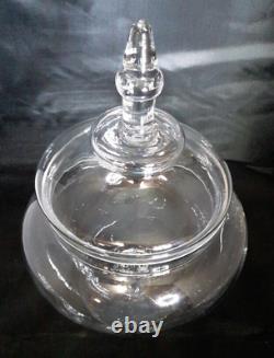 Large Apothecary Clear Glass Jar Store Display 10 x 14 Perfect For A Terrarium