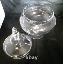 Large Apothecary Clear Glass Jar Store Display 10 x 14 Perfect For A Terrarium