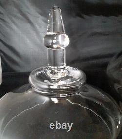Large Apothecary Clear Glass Jar Store Display 10 x 14 Perfect For A Terrarium