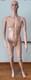 Male Full Body Mannequin Xl Realistic Retail Store Display With Glass Base New