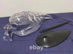 Oakley Authentic Clear Bob Head Sunglasses Glasses Store Display Stand