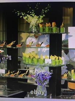 Pastries, dessert, Sushi Wood and Glass Display