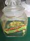 Rare Beech-nut Chewing Gum Countertop Glass Jar