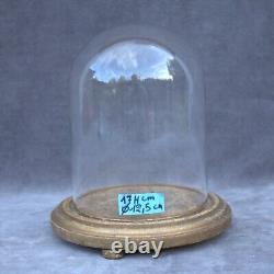 Retro round glass dome 6.69 x 4.92 bell jar 17 x12,5cm cloche handmade interior