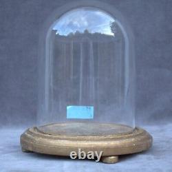 Retro round glass dome 6.69 x 4.92 bell jar 17 x12,5cm cloche handmade interior