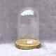 Retro Round Glass Dome 7.87 X 4.72 Bell Jar 20 X12cm Cloche Interior Decoration