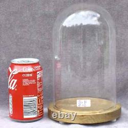 Retro round glass dome 7.87 x 4.72 bell jar 20 x12cm cloche interior decoration