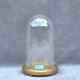 Retro Round Glass Dome Bell Jar Cloche Handmade 10.23 X 5.31 26x13,5cm Display