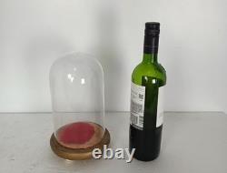 Small Antique Round Hand Blown Glass Dome Globe Steampunk Display Clock 8.07 D