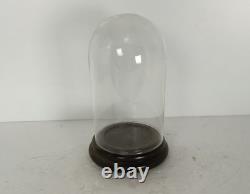 Small Vintage Round Hand Blown Glass Dome Globe Steampunk Display 7.87 D 4.52