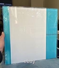 Tiffany&co Glass Display Store Prop
