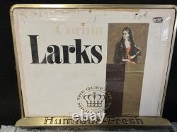 VTG Store Counter Glass Display Corina Larks Cigar Humidor Box Case