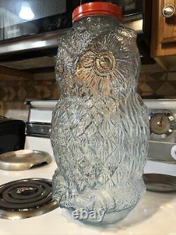 Vintage Owl Jar Glass Container Store Display The Wise Old Owl