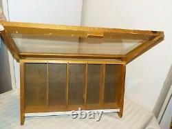 Vintage Remington Hi-speed 22's Wood & Glass Display Case